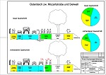 Querschnitt vorher und nachher:  Prozentualer Flächenanteil nach Verkehrsart